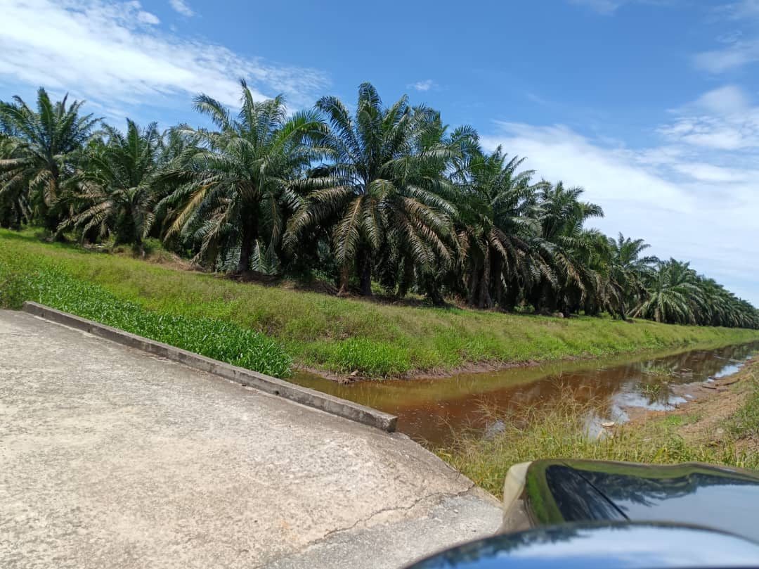 Land Parcel — Perak